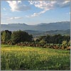 Août 57 · Vallée du Béez - Nay · © stockli