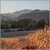 Décembre 11 · Maïs d'hiver - Nay · © stockli