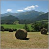 Juillet 36 · Les foins à Lys · © stockli