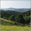 Juin 15 · La forêt du Mourle - Montaut · © stockli