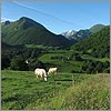 Mai 63 · Pastorale - Arthez d'Asson · © stockli
